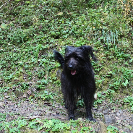 Im Allgäu (3)